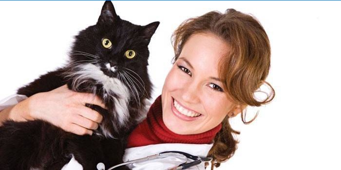 Veterinaararst hoiab kassi süles