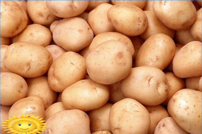 7 põhjust kartuli istutamiseks saidile