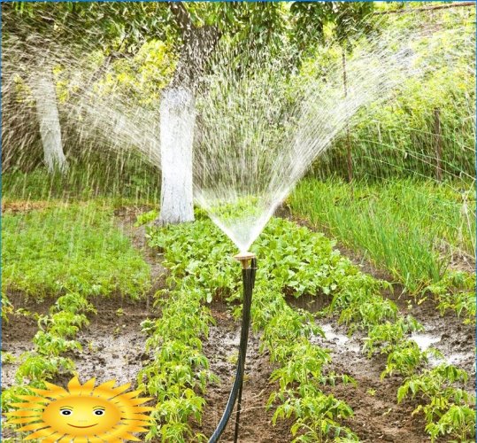 Automaatne aia niisutussüsteem