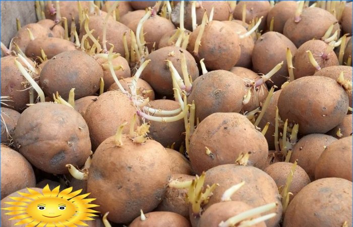 Idandatud kartulid
