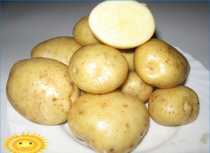 Adretta kartulid